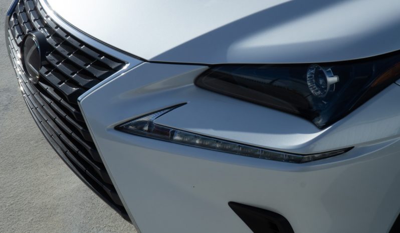 Lexus NX300 2020 full