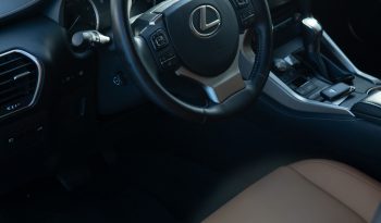 Lexus NX300 2020 full